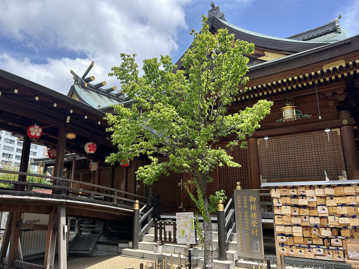 神社仏閣御朱印巡り。toku -徳 tweet media