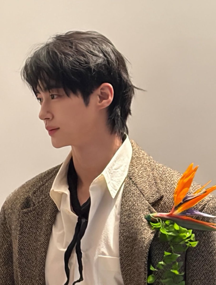 Wooseok tweet media