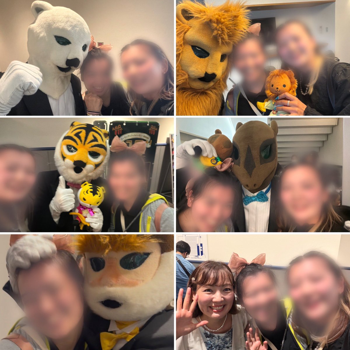 nm367112's tweet photo. 午後の部
今回の🐯さんのイタズラは🦁さんが首謀者な事が発覚!!
あと午前よりも様子がおかしい🐻‍❄️さん笑
バックが騒がしすぎて目が離せません👀
そして､､お尻にサインをする🦁さん、おかしくなった🐻‍❄️さんを激写📸
とにかく楽しすぎた🤭ᩚ
次はファンクラブコンサートで!!
#ズーラシアンブラス https://t.co/iHMBdUQh71