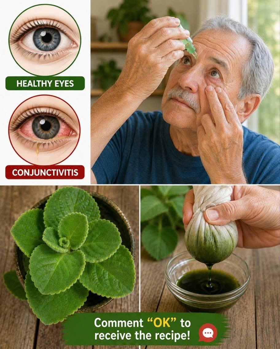 herbalist medicine tweet media