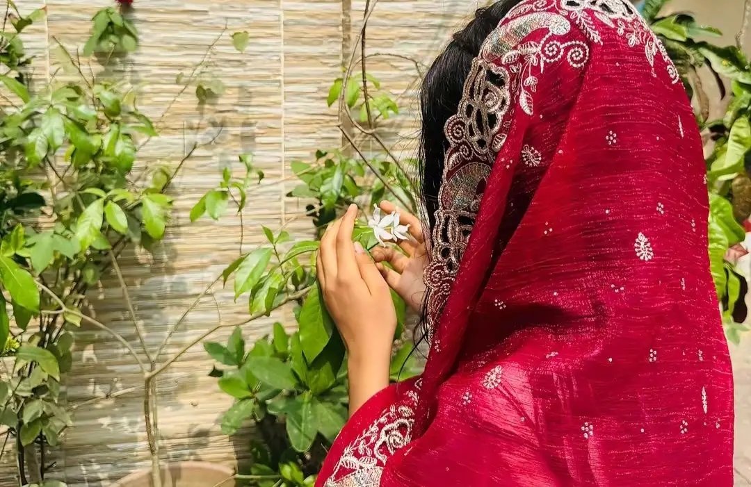 Anika tweet media