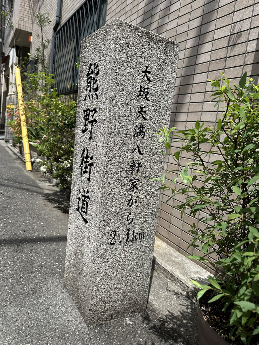 白MEGAね、 tweet media