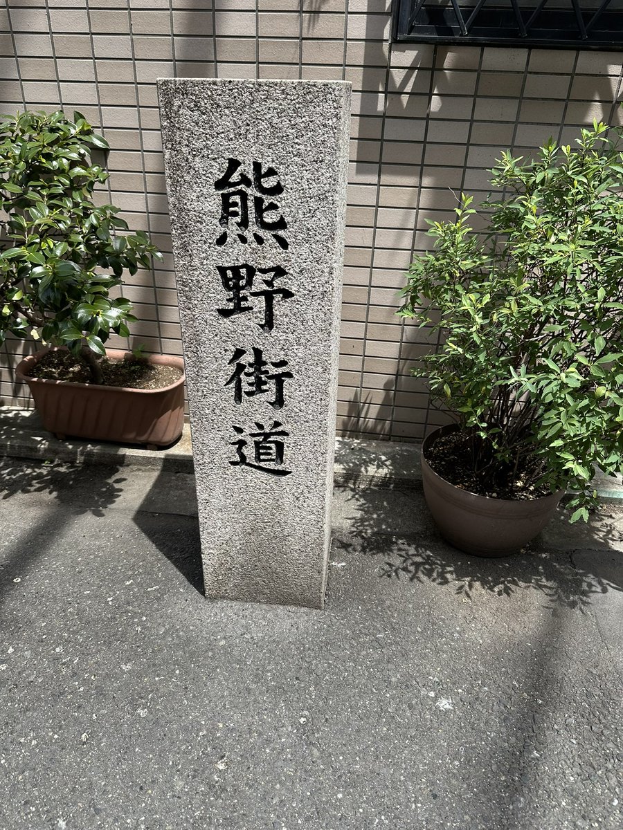 白MEGAね、 tweet media