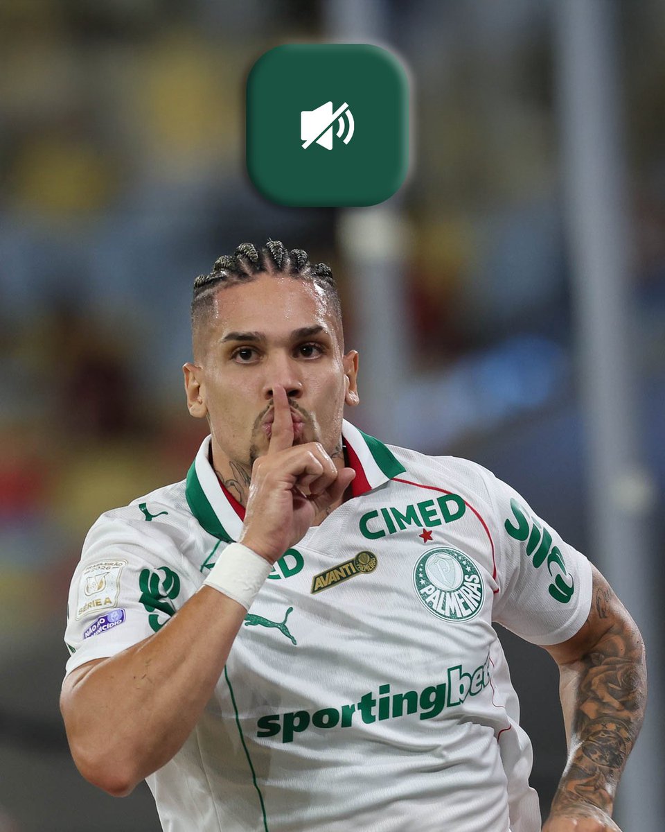 SE Palmeiras tweet media