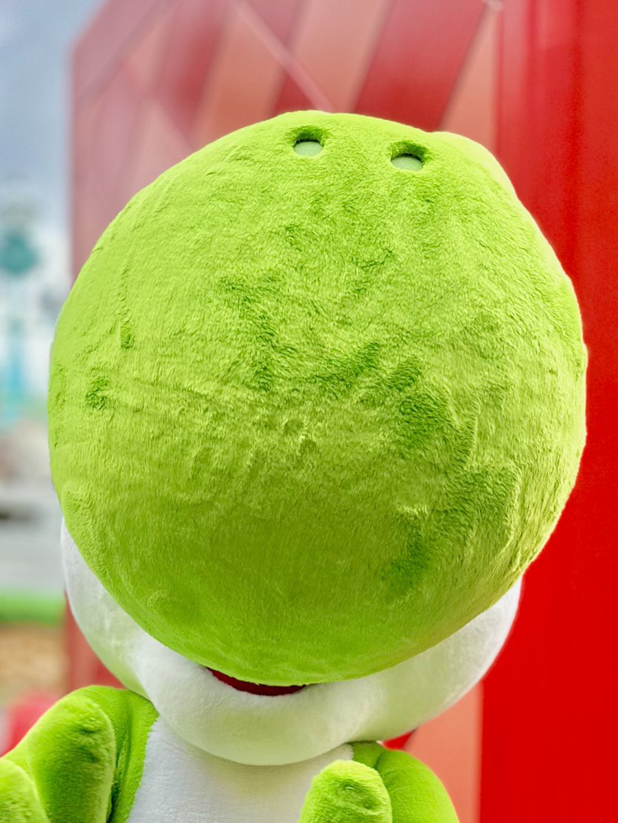 キノピ男 tweet media