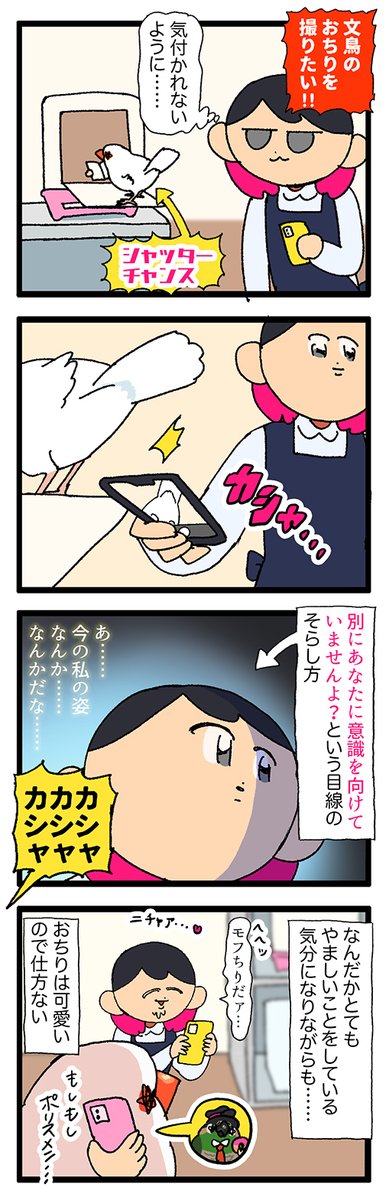 鳥さんのおちりを撮影してる時のニンゲンの姿って………なんか……なんか……!!!

2320 #えるポピの絵日記かくところ 