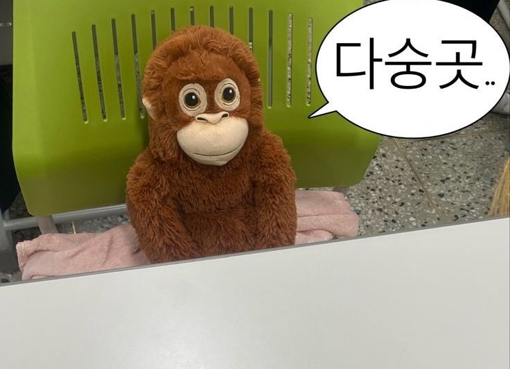 잎파리(상태:스밍투표졸라열심히하는데취켓팅은망하고있어서움) tweet media
