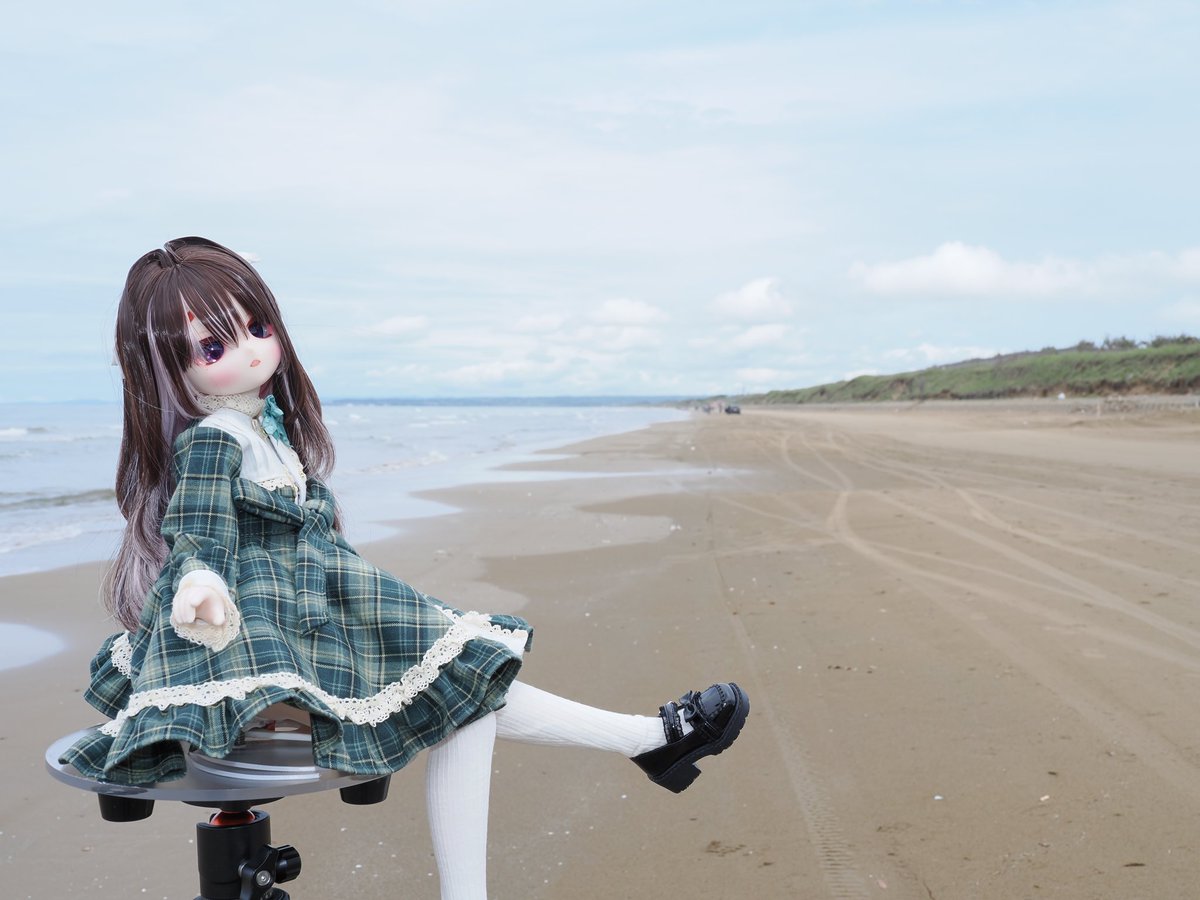 テッド tweet media