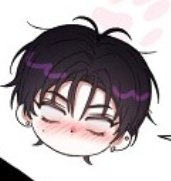 한지대피소 tweet media