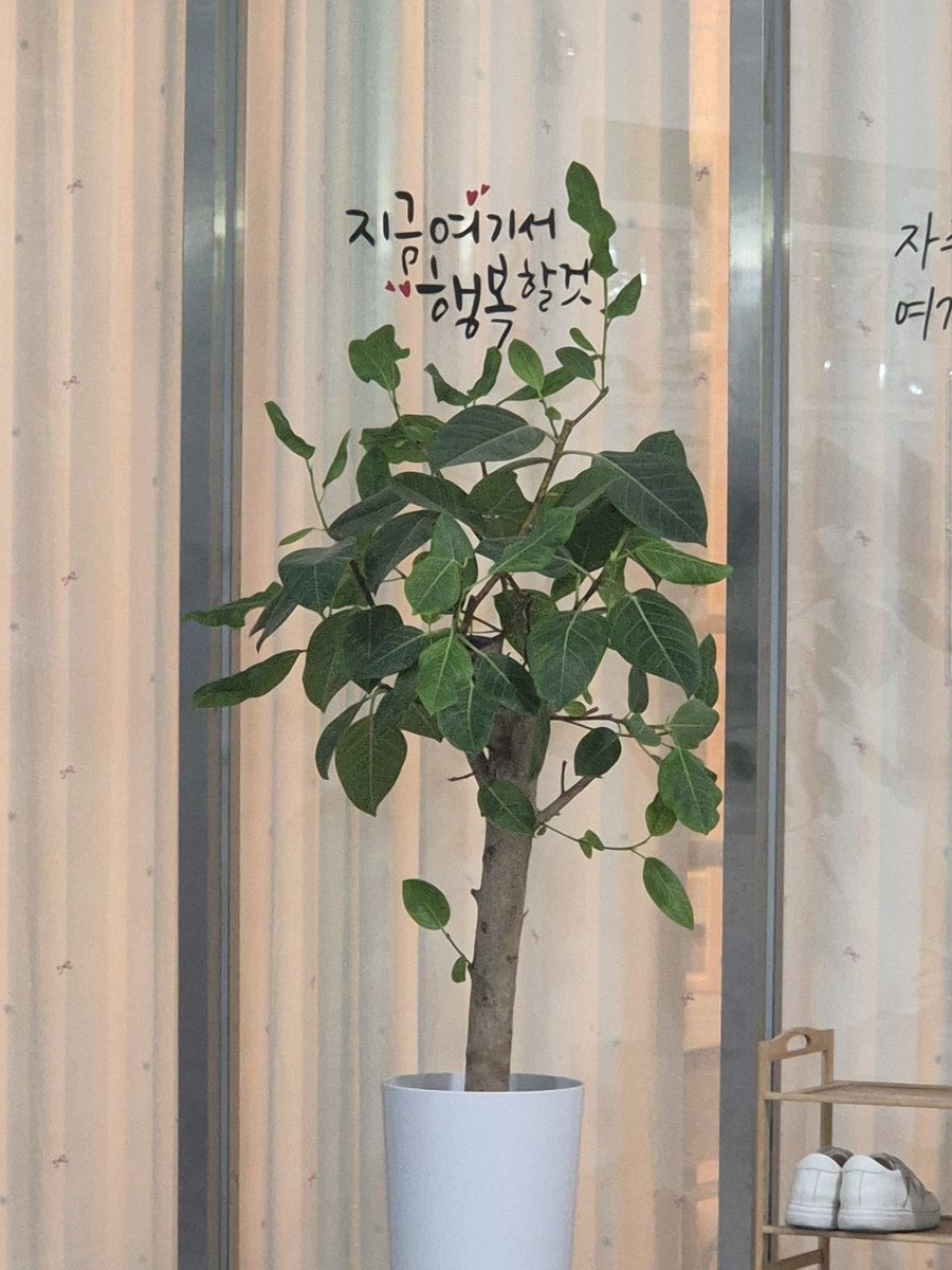 예나 tweet media