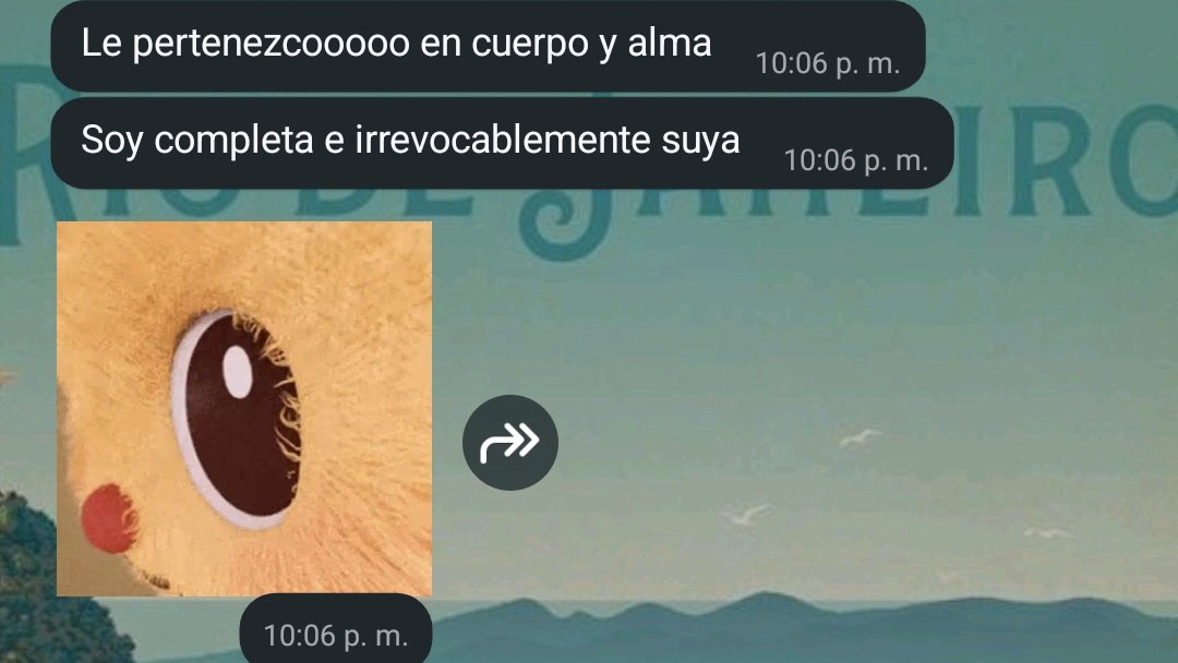 olortegui_sol's tweet photo. Cómo no amarte. Siempre estuviste ahí ✨ https://t.co/D5vKZKnJgu