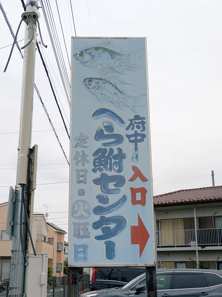 ぽん太 tweet media