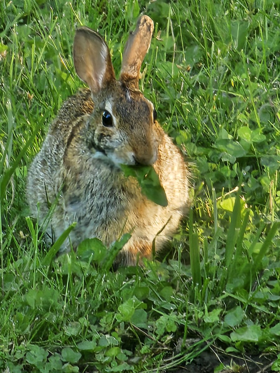 YoopLoops tweet picture