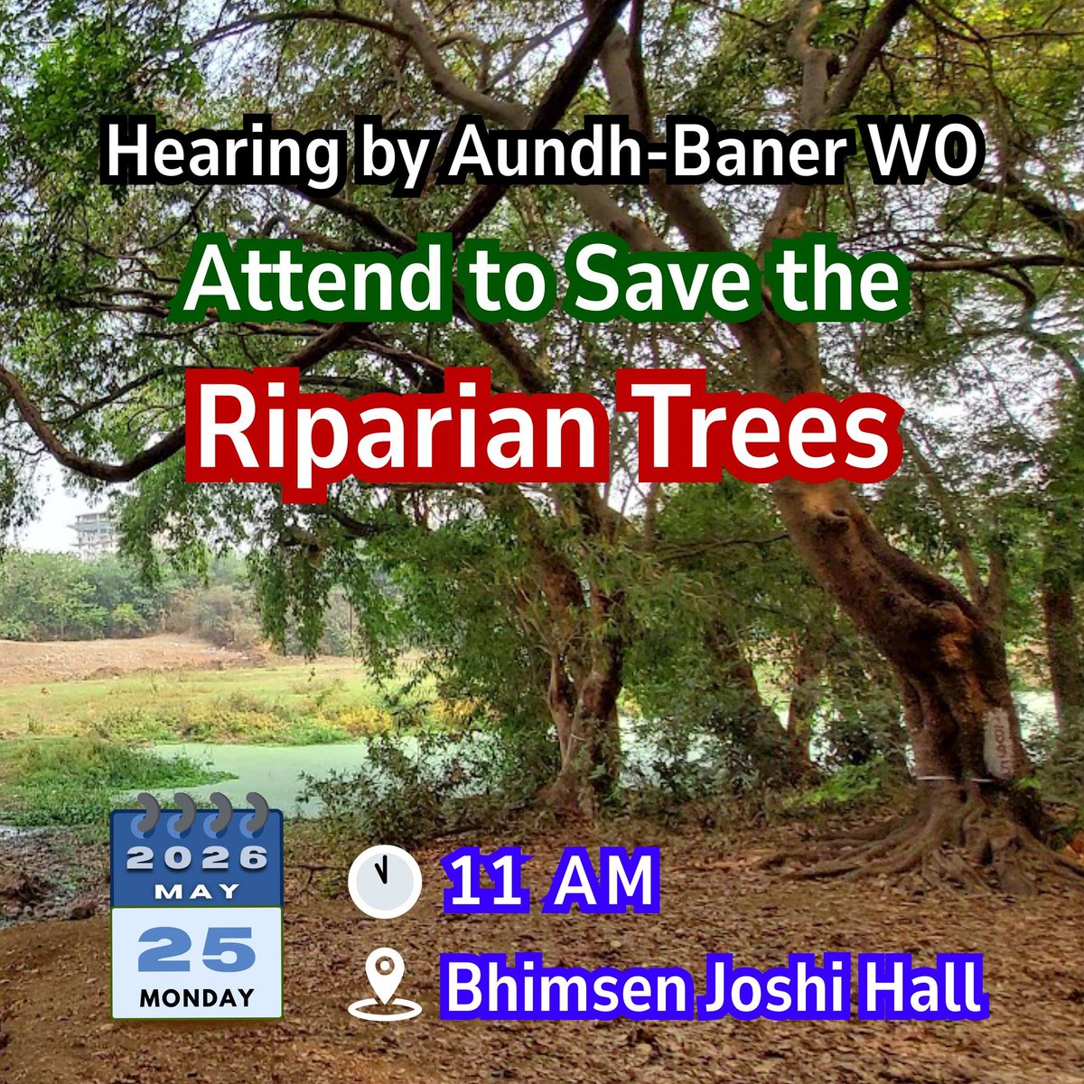 udg12a's tweet photo. May2023->May2026 PMC on rampant tree cutting spree
in violation of laws &amp; procedures
Punekars come one come all
Attend public hearing
@SunetraA_Pawar @mohol_murlidhar @navalMH @PMCMCO @PMOIndia @Medha_kulkarni @Dev_Fadnavis
@PuneRivers @ChaloPmc @VTBKS_Pune @moefcc @wef 
@RSSorg https://t.co/yzDVMzcGBC