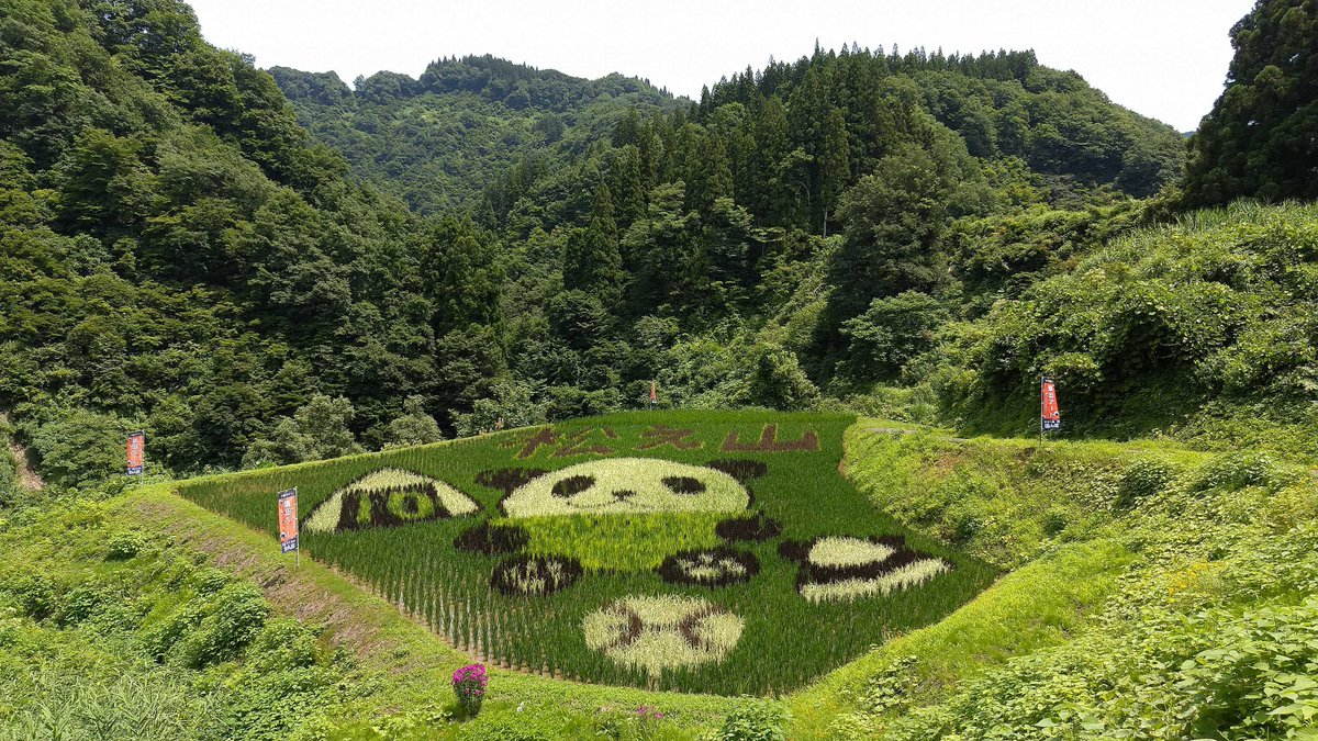 to_kanko's tweet photo. 春の十日町市
夏の十日町市
秋の十日町市
冬の十日町市 https://t.co/40e0600cpa