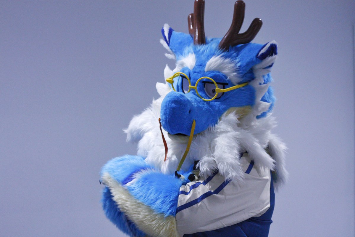 Jake 🐺🐉 tweet media