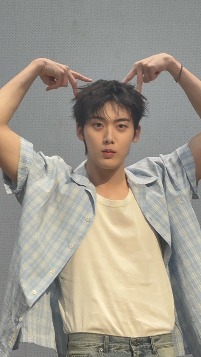 ddanmeong's tweet photo. 난 그래도 줏대있게 강아지파 ••• https://t.co/RYVuIjYEQo