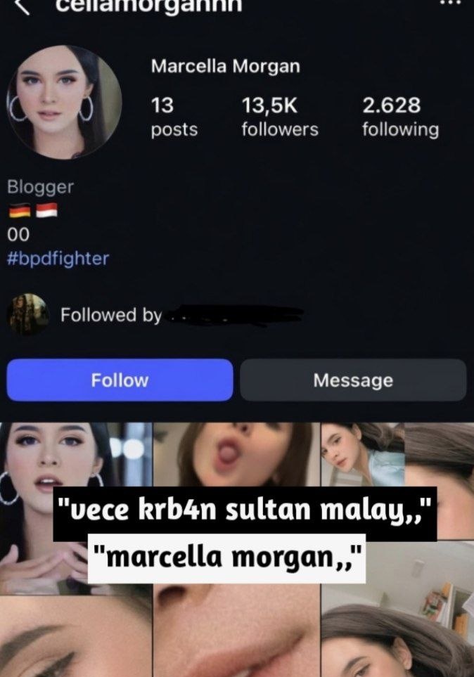 sera tweet media