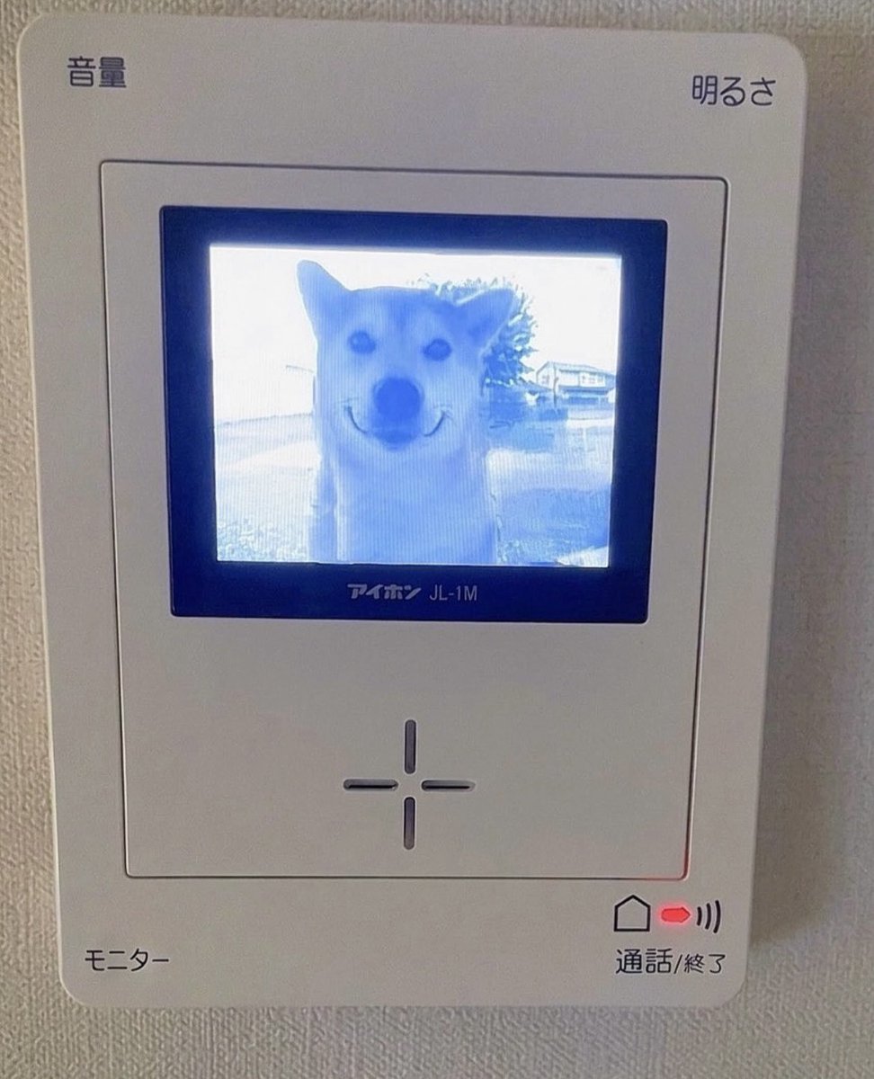 もう一度撮れと言われても撮れない写真 可愛すぎる来客