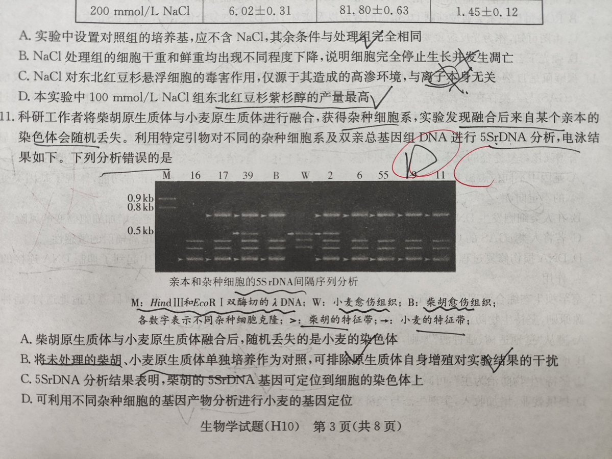 素咖喱白垩鹌 tweet media
