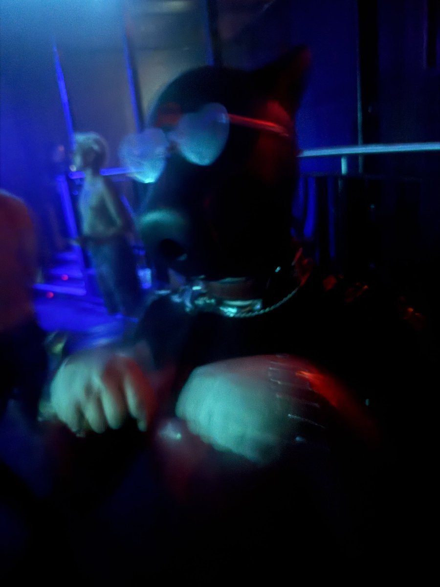 Phoenix_Dutchie's tweet photo. Club dilf with @Pup_Fluke and friends 🥰 

#kink #latex #rubber #pup #pupplay #ukpups #drone https://t.co/WPLPd4cuu1