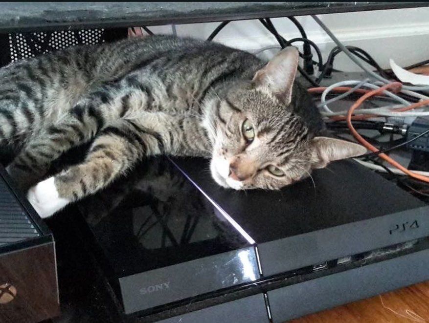 old_memory's tweet photo. 💤 https://t.co/6fvHTtdxGG