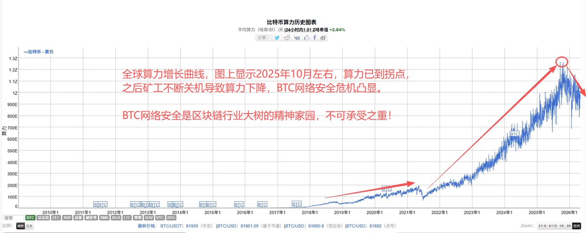 老小鱼 tweet media
