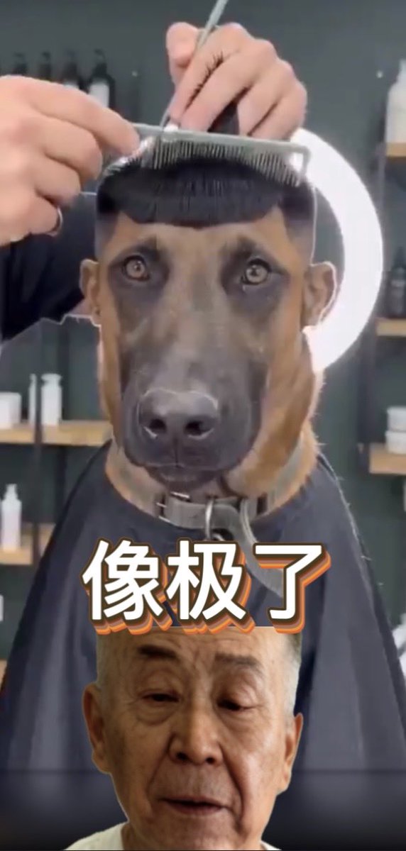 杨善 tweet media