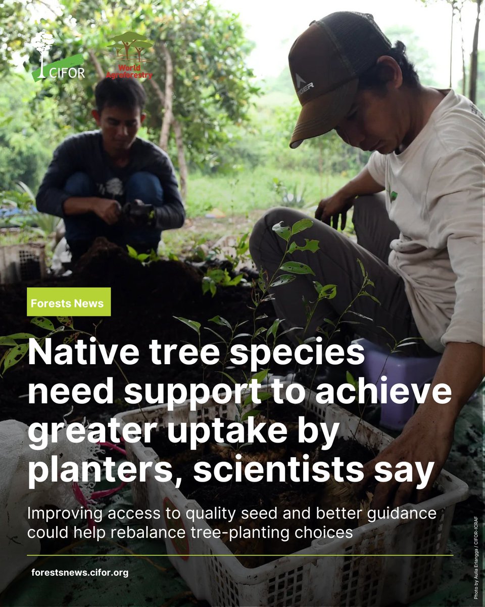 CIFOR-ICRAF tweet media