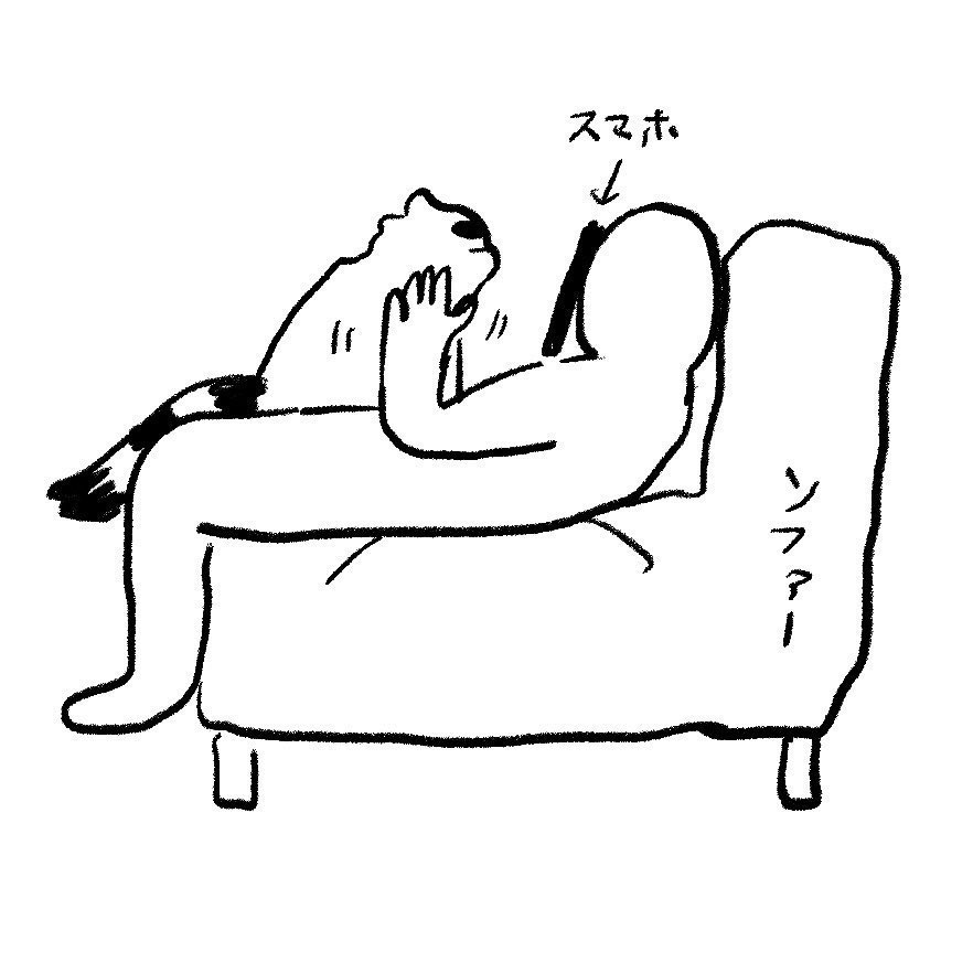 ヤマネコ tweet media
