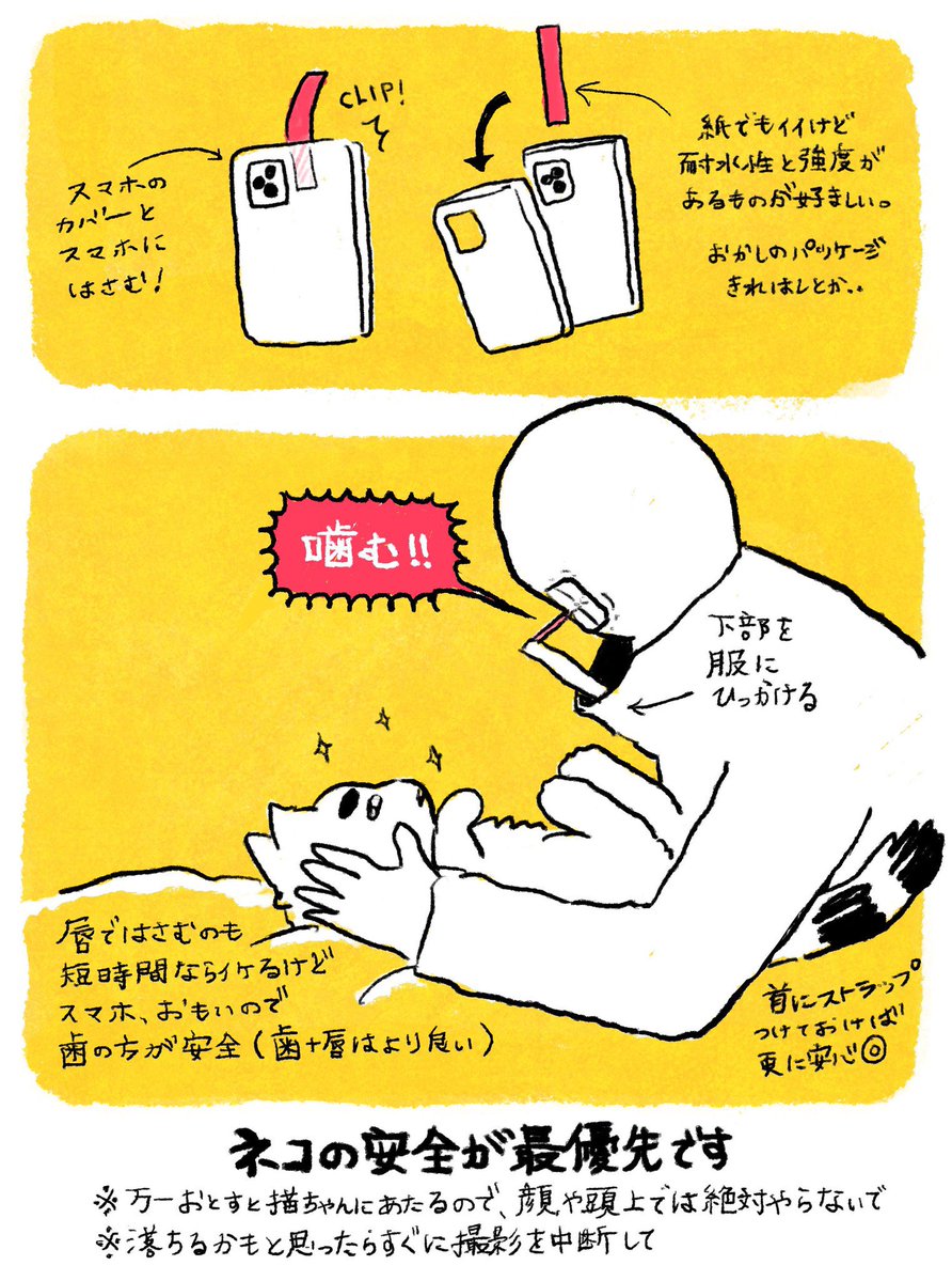 ヤマネコ tweet media