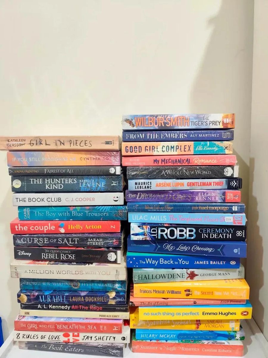 estersy_'s tweet photo. @halonirmala @bibliobase Halo kak, aku ada buku bahasa inggris. Dulu beli dari bbw, periplus, dan bookxcess. Aku jual dengan harga 80k/buku exc adm 🍊 ya https://t.co/Ctg9hHnKkE