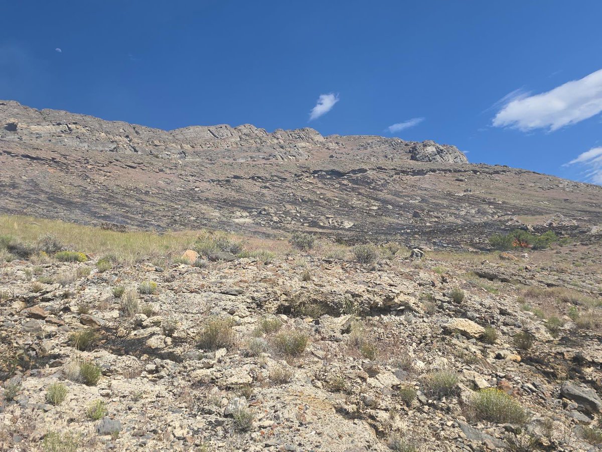 UtahWildfire's tweet photo. Update: #TimpiePointFire is now 37.6 acres and 100% contained. Cause is under investigation, but initial investigation suggests target shooting could be the cause. This is the last report. Thank you to all responding personnel and partners. #ffslkw https://t.co/ctgI7soX7w