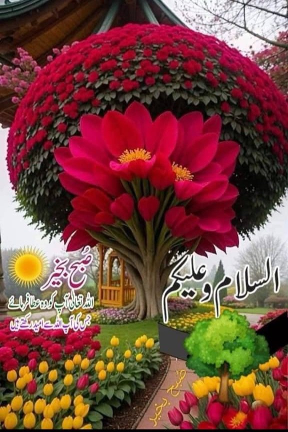 Lubna tweet media