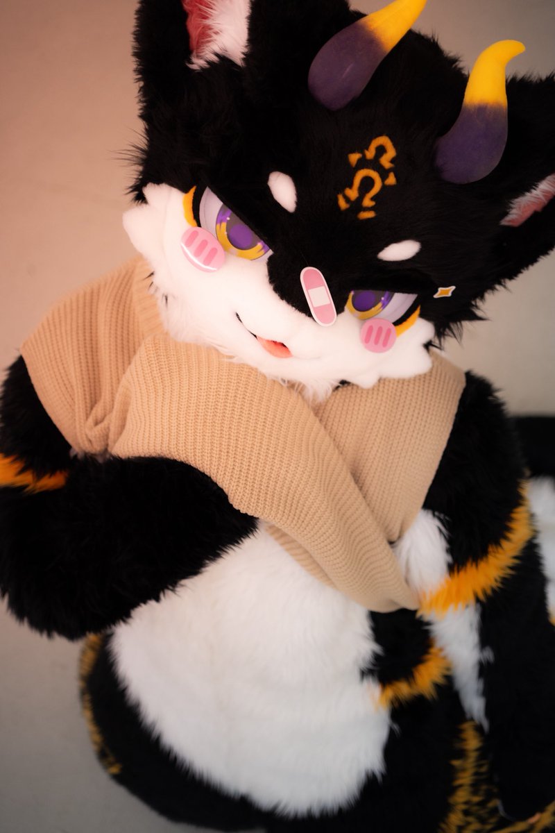 miyak7171's tweet photo. 어..? 밴드가 떨어졌네..🥺

#FursuitEveryday #싱싱미얔_상태 https://t.co/XYWc3nrno3