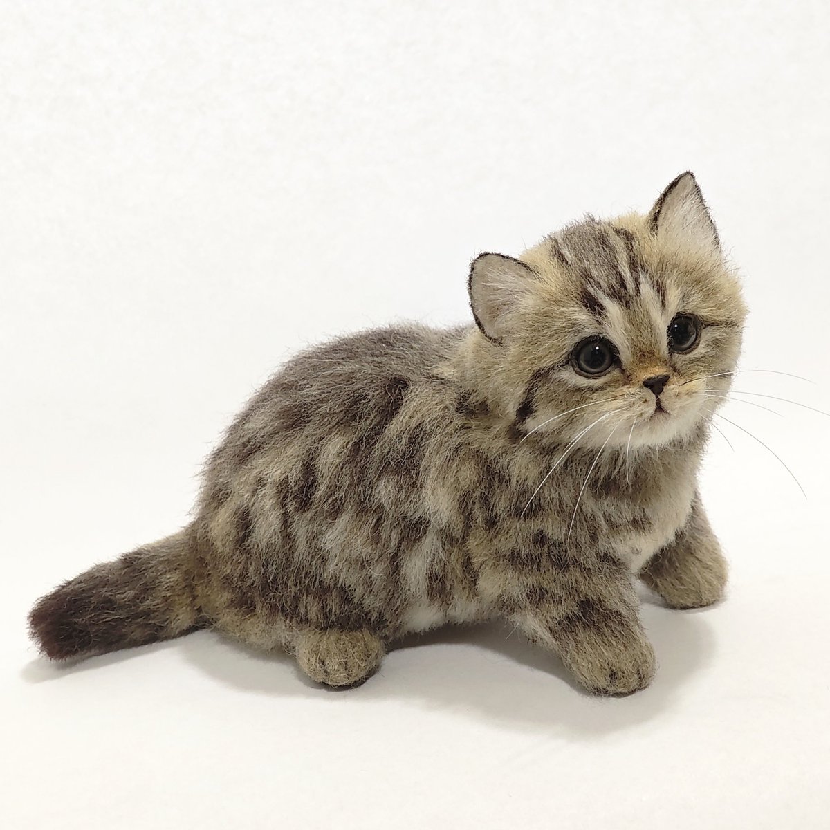 一瞬本物と見間違えちゃう！？羊毛フェルトで作ったマンチカンの子猫が