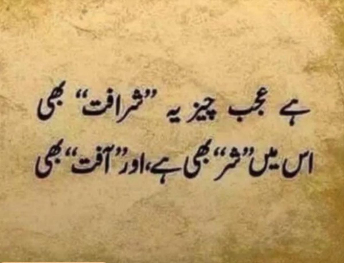 hiba_tu tweet picture
