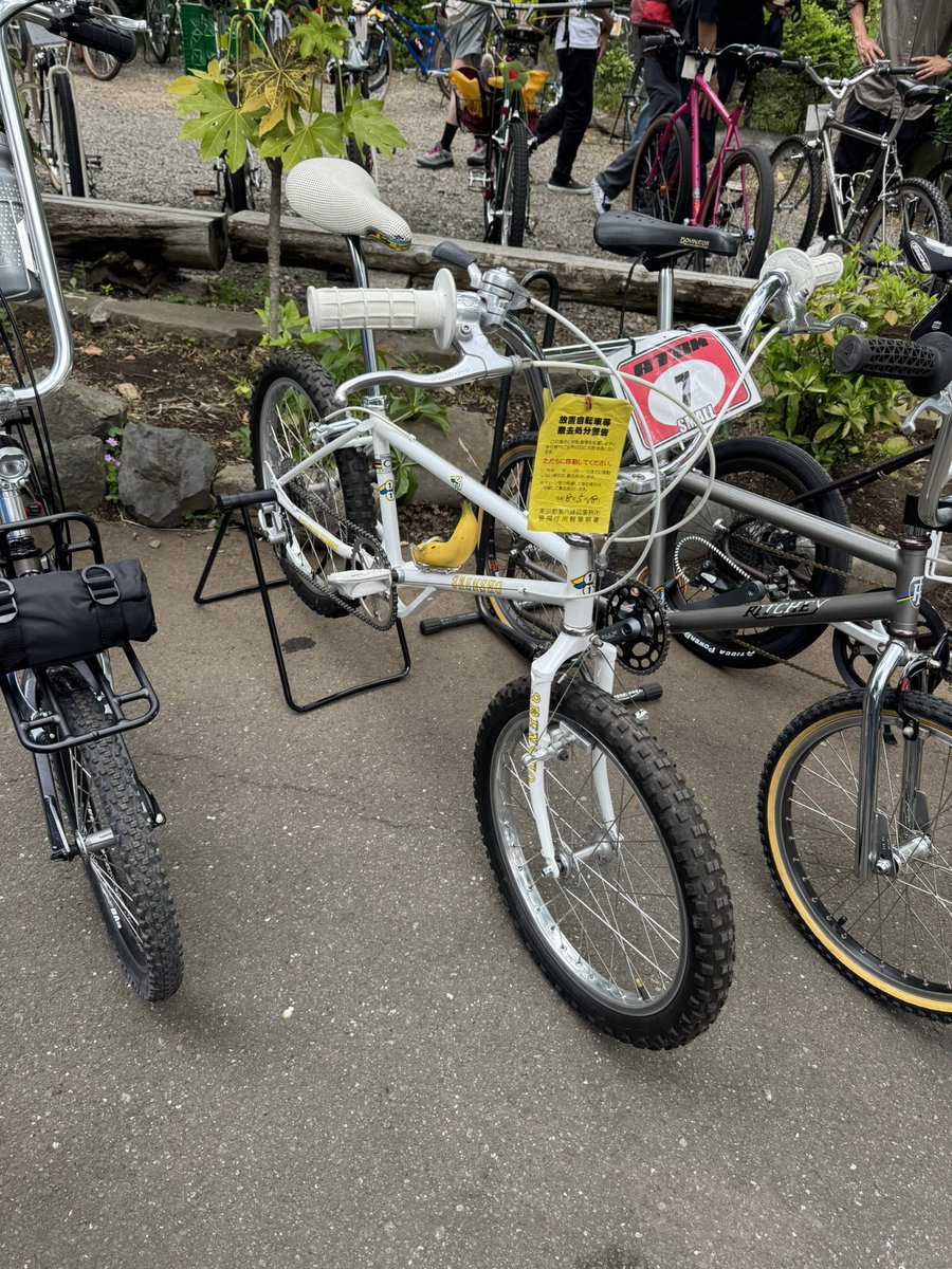 エビ天ぷら@自転車たのちい💪🗿💪 tweet media