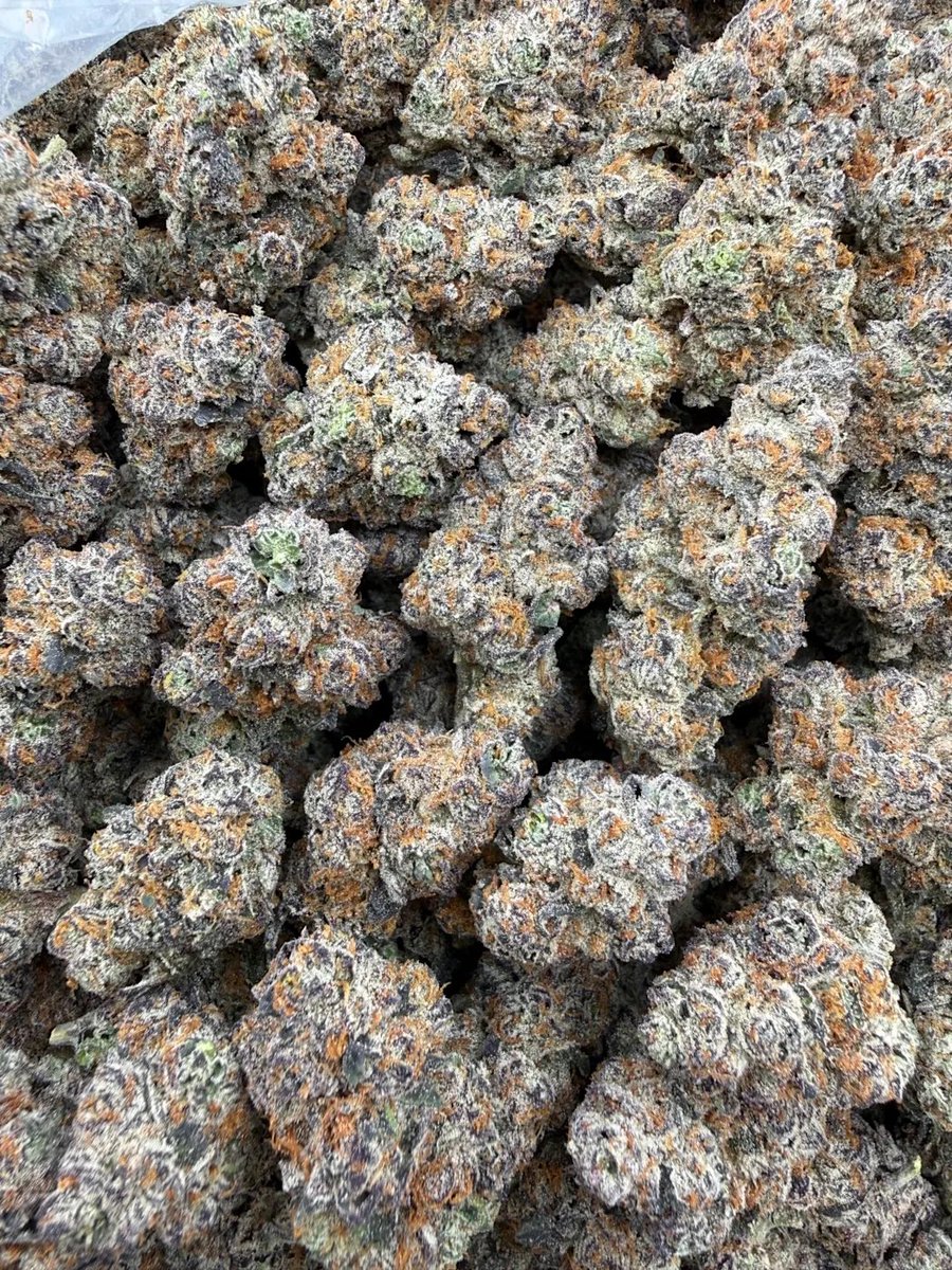 KushWorld tweet media