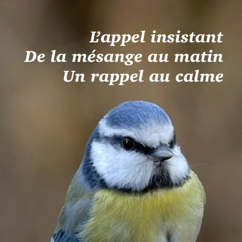 JacquesMercier's tweet photo. Un heureux dimanche ! 
[#haiku, #amour, #ligue_des_optimistes, #poésie] https://t.co/ui7d59Uq1b