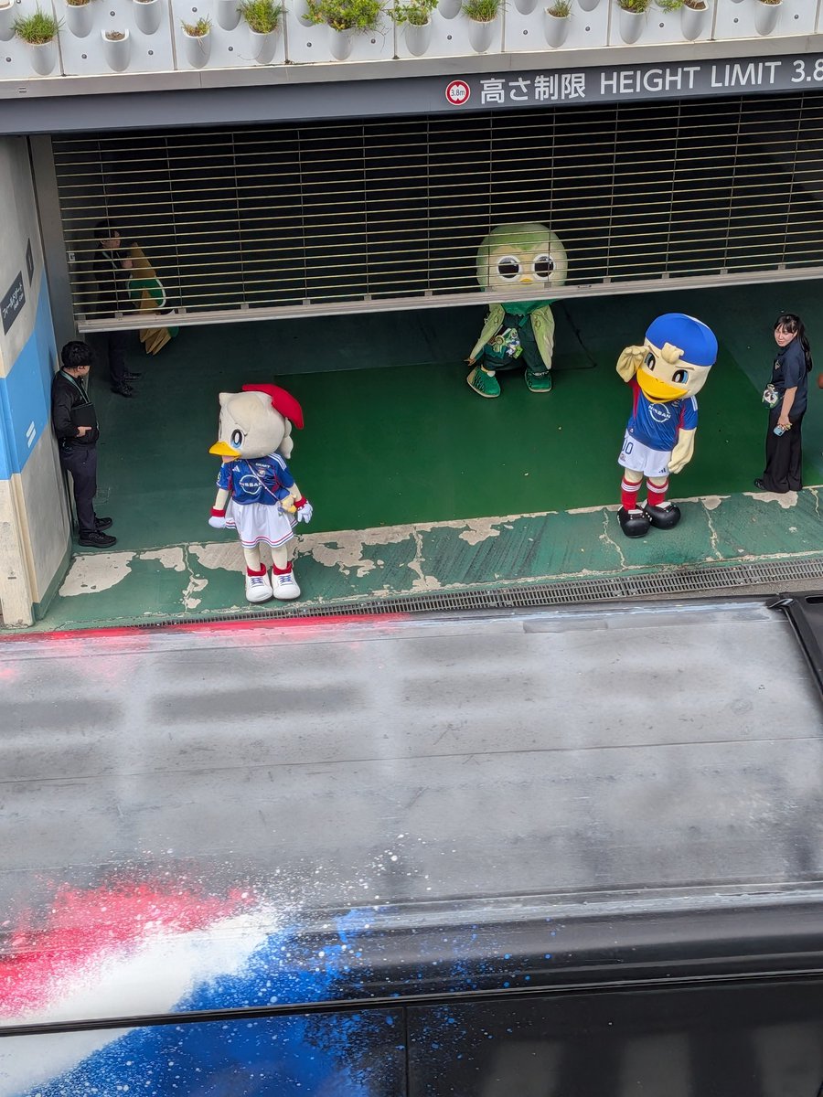 taja_97997's tweet photo. マリバスと子供達 https://t.co/StFiekQH81