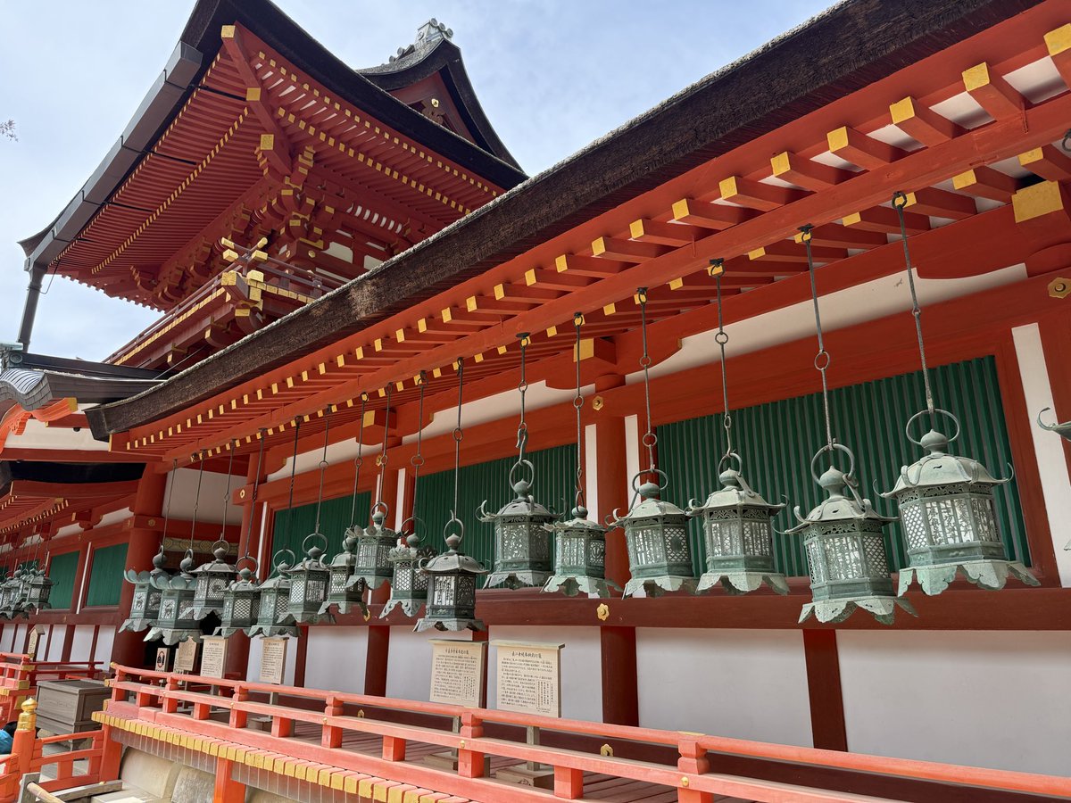 miandante's tweet photo. 奈良、修学旅行で訪れたものの
レンタサイクルでペダル踏外して流血した痛い思い出しかなくて訪れてみたら鹿さんたくさん外国人観光客たくさんでしたが新緑の美しい春日大社を参拝しました。春日大社を巡るのに時間費やしてしまい東大寺は門をくぐっただけなので、奈良また訪れたい。 https://t.co/fZeudc2uXl