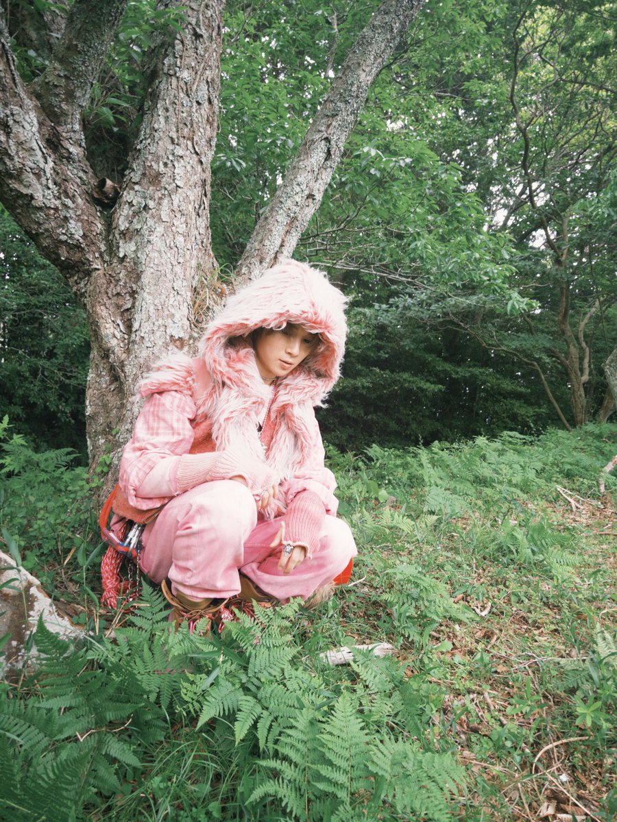 WOLF HOWL HARMONY【公式】 tweet media