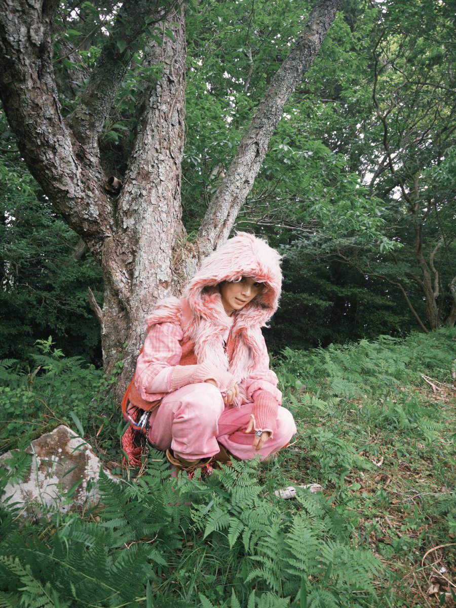 WOLF HOWL HARMONY【公式】 tweet media