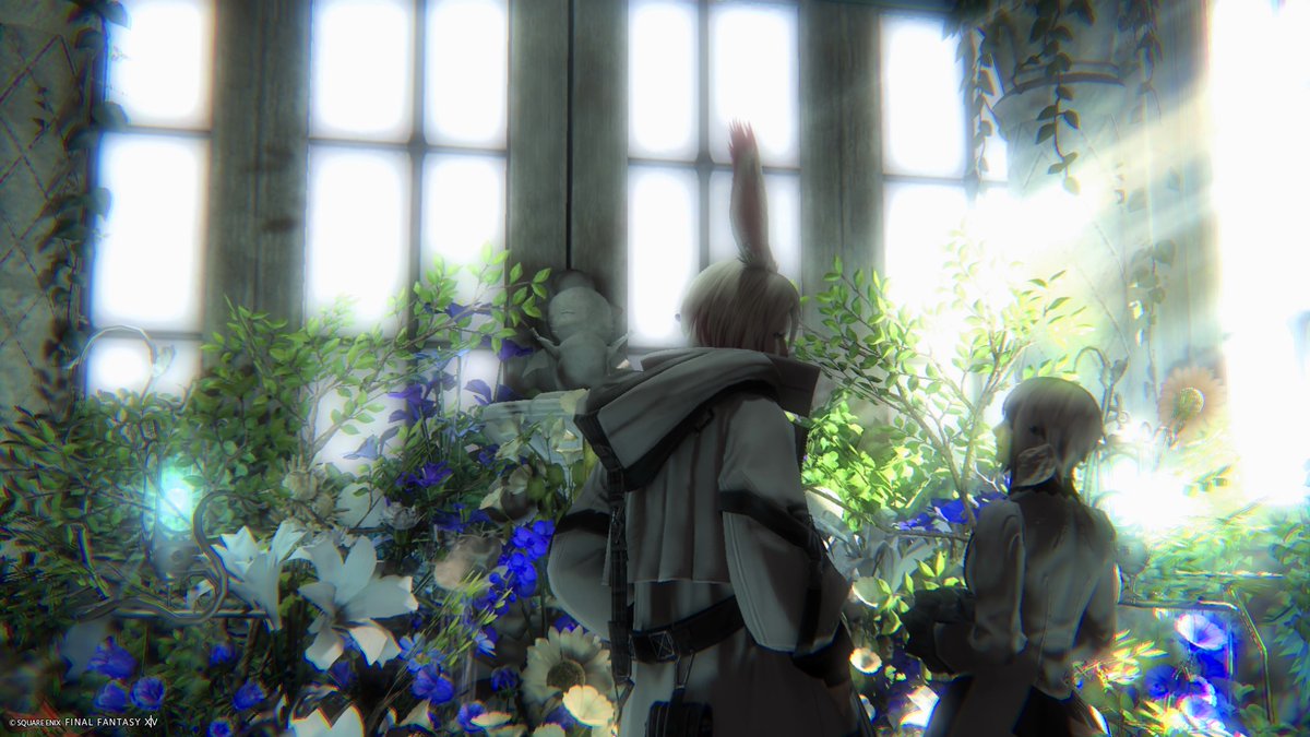 Shirayuki🌱 tweet media