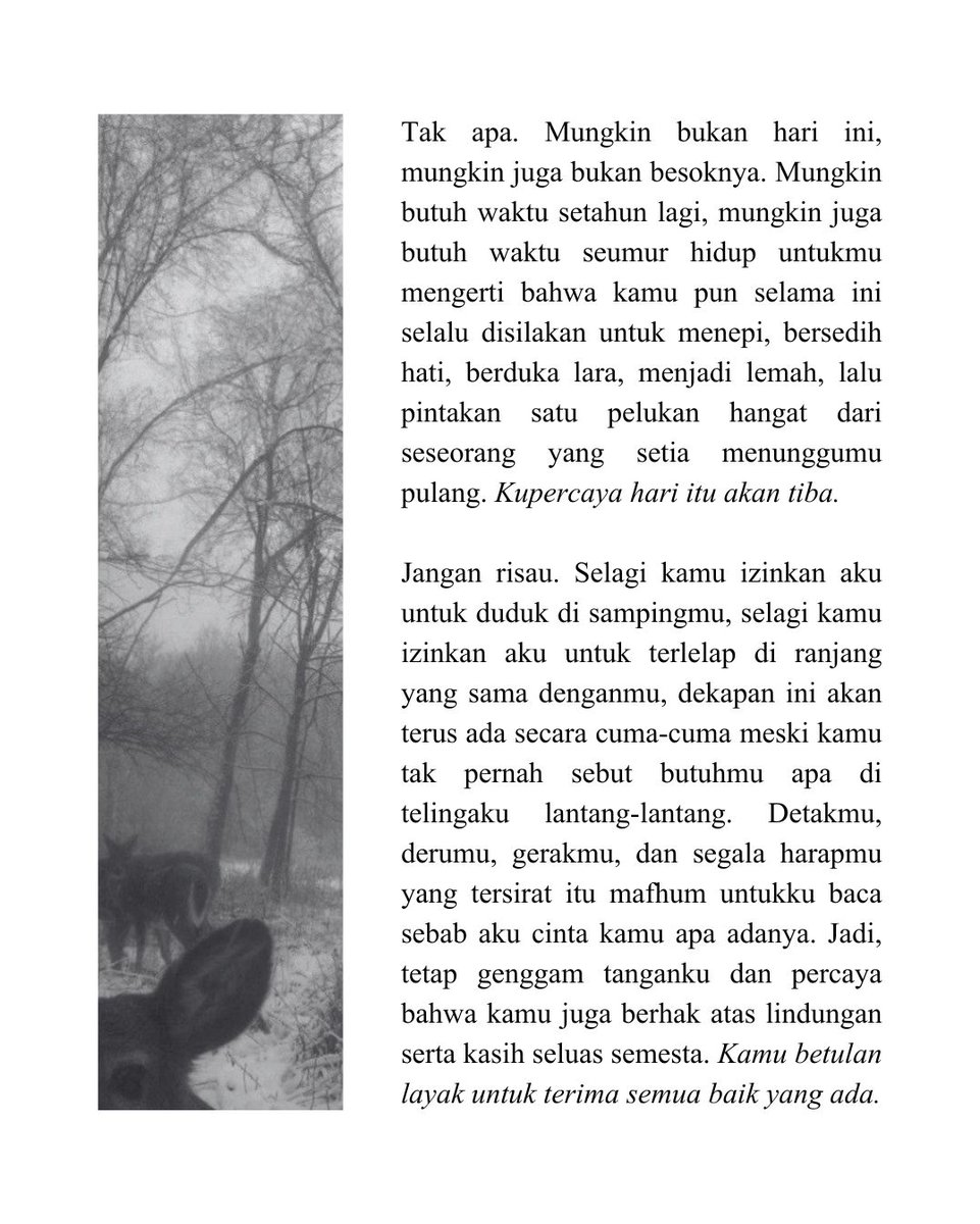 렌 tweet media