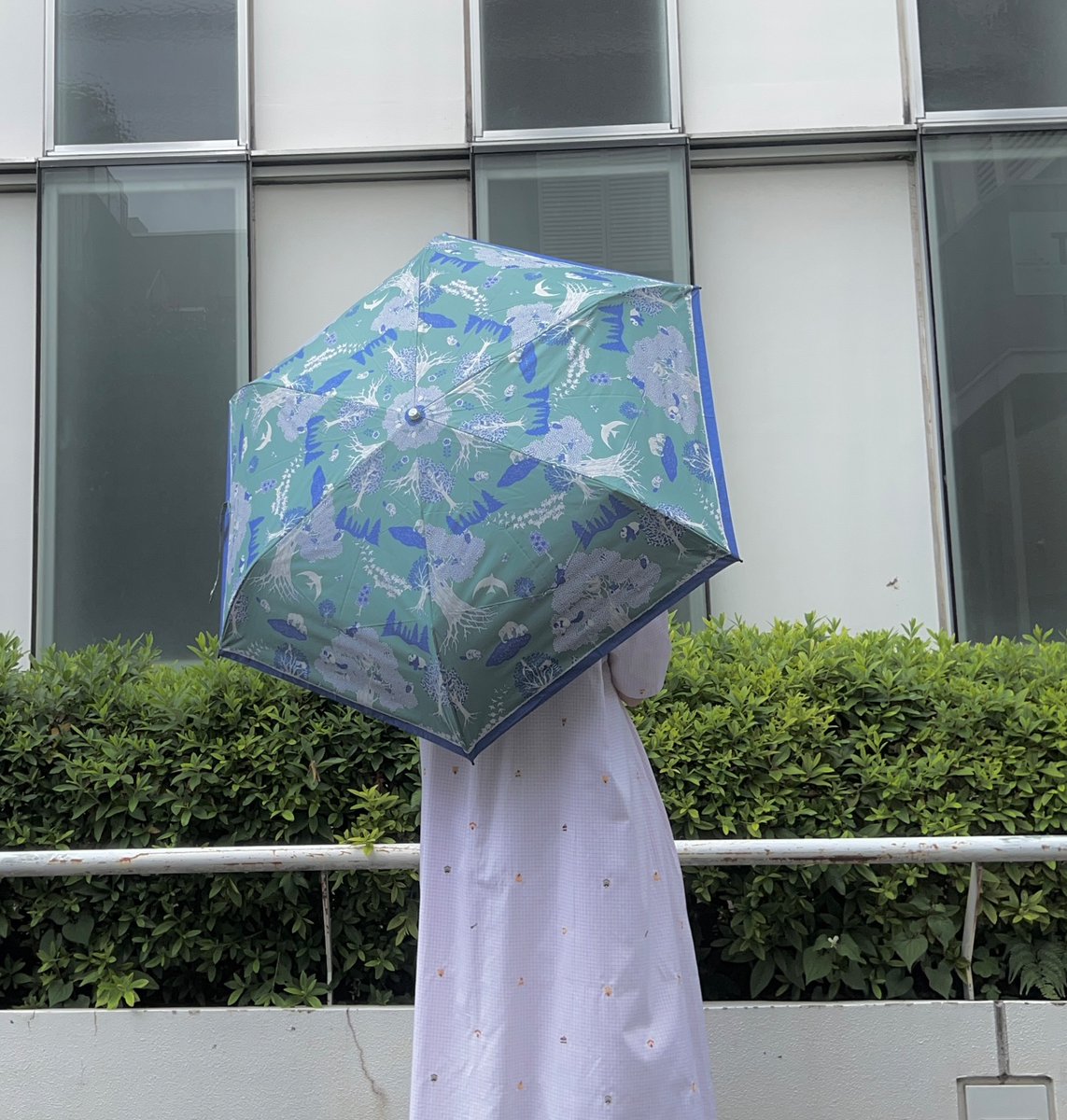 marbleSUD_kichi's tweet photo. 【everwood MINI UMBRELLA入荷しました⛱️】

年輪を重ねてこれからも大きく育っていけるように

願いを込めたテキスタイルが、折りたたみの晴雨兼用傘で登場です⛱️

これからのジメジメした季節に

お気に入りの1本で楽しくお過ごしください🌧️

#マーブルシュッド #吉祥寺 https://t.co/VShNHcOpo5