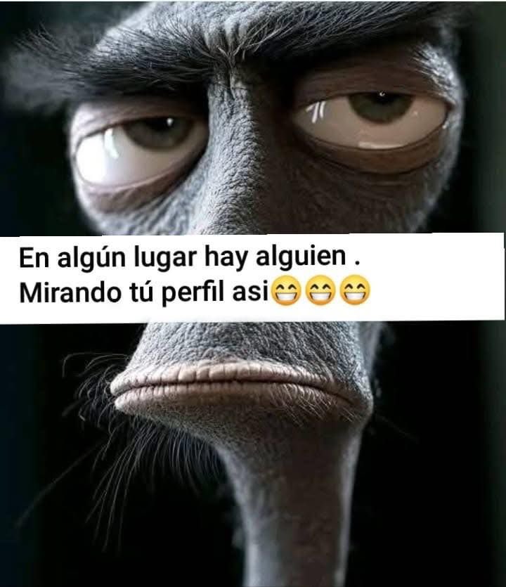 Juan Pablo Estrada tweet media