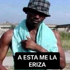 ‎ツ↠נυαη αηαуα ™ tweet media