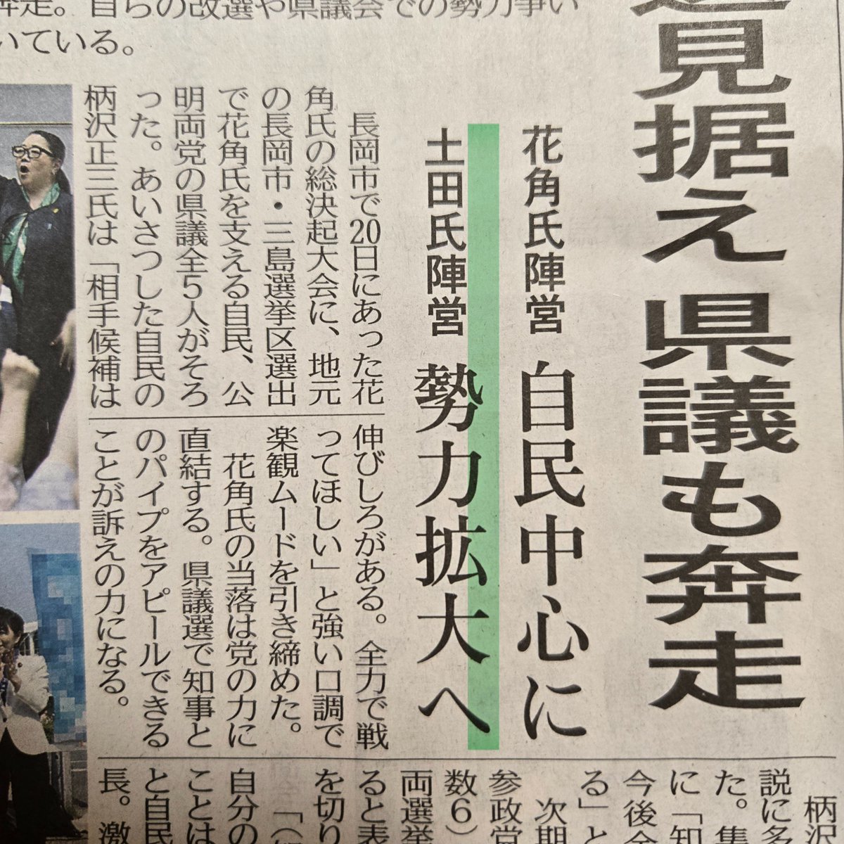 かもみーる🌼猫と新潟 tweet media